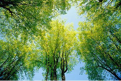 日恐新游《废村巡游》确定7月16日发售 心跳探险心灵圣地